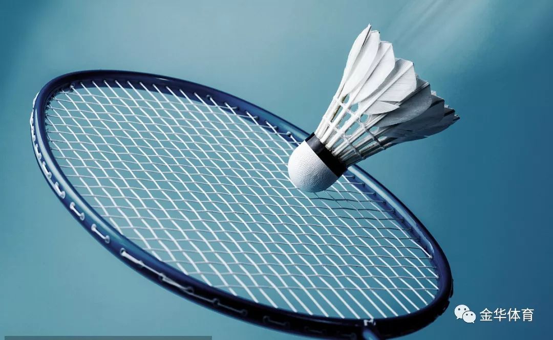 字母哥一句 字母哥一句