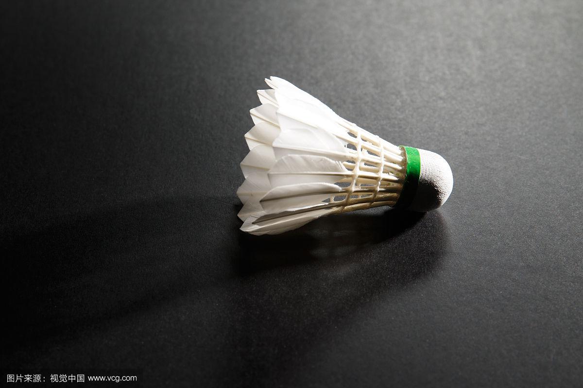 自由人聘请克里斯·德马科担任教练时，曾征求库里对他的评价